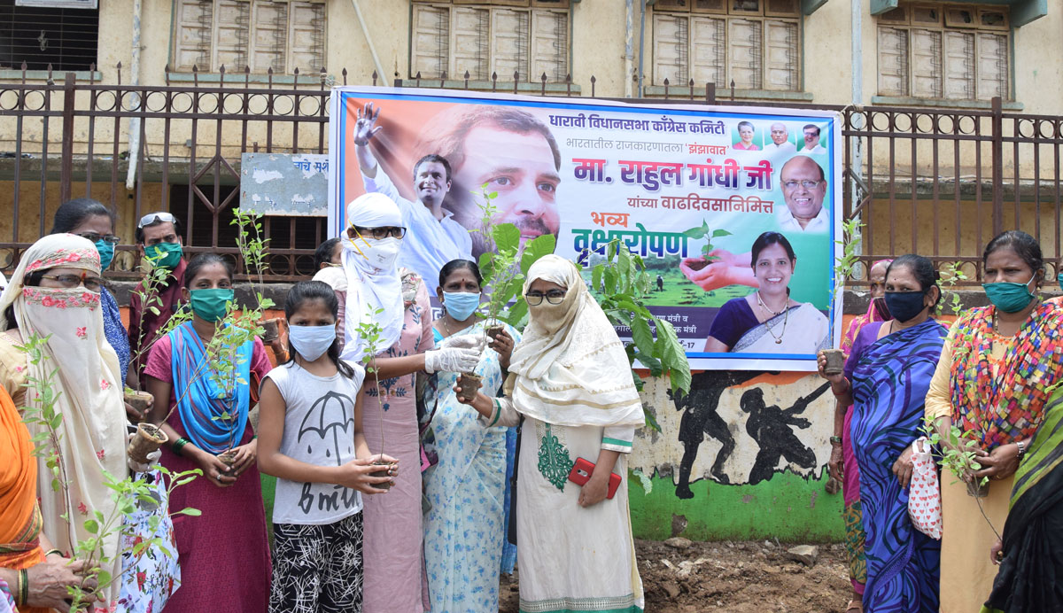 Minister Varsha Gaikwad Tree Plantation Program in Dharavi on Congress Leader Rahul Gandhi Birthday