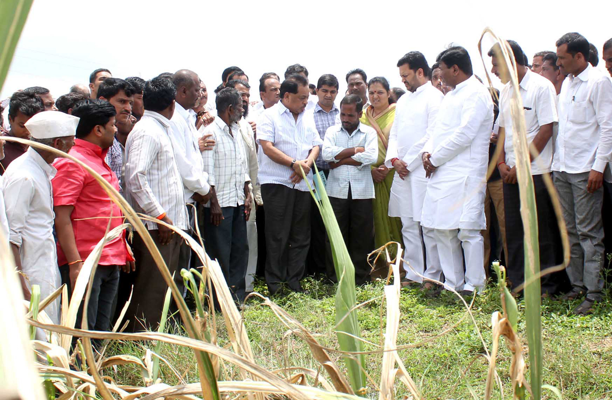 Congress Senior Leader Narayanrao Rane visit Drought Villages in Maharashtra.
