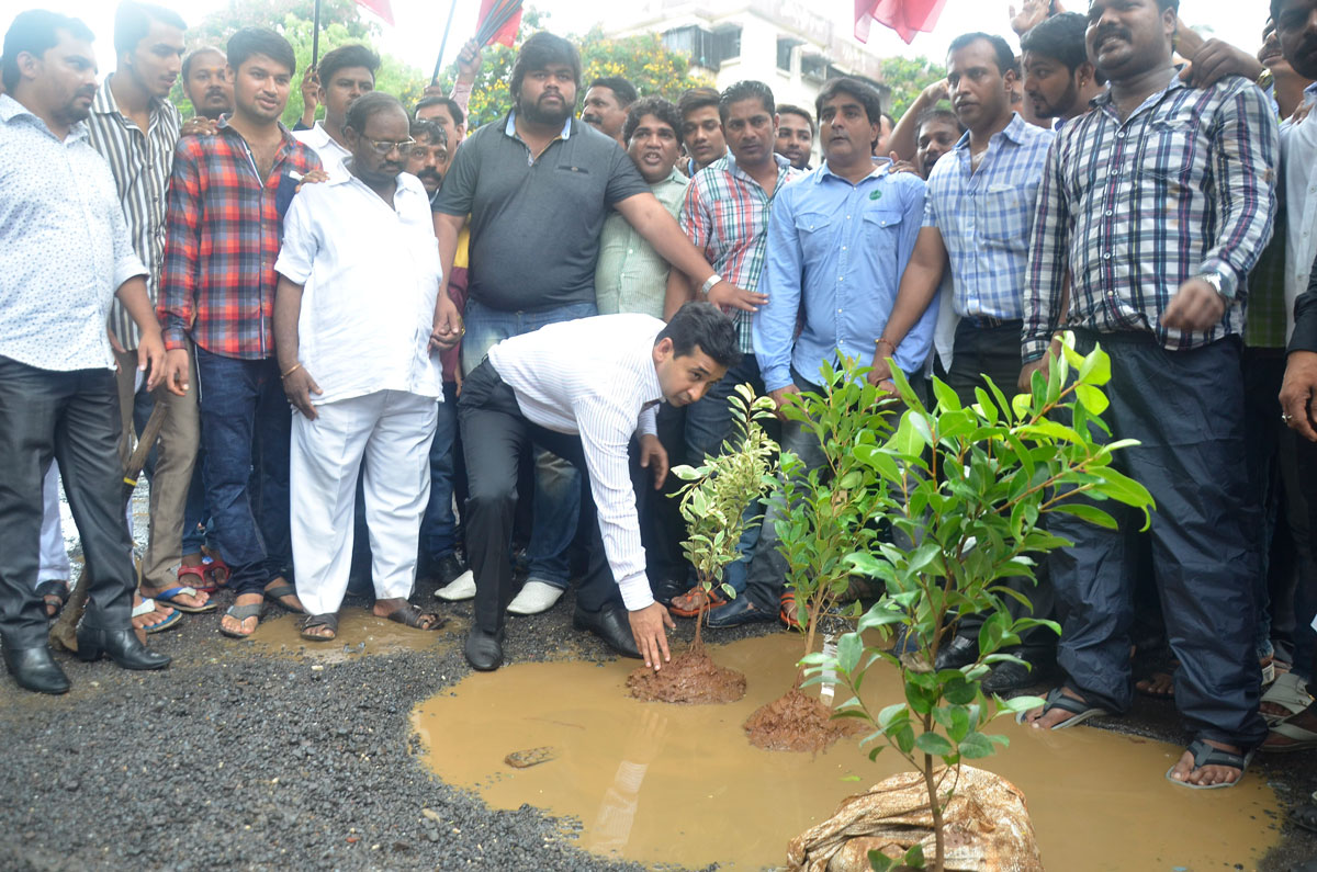 Tree Plantation in Potholes by MLA Nitesh Rane in Mumbai.