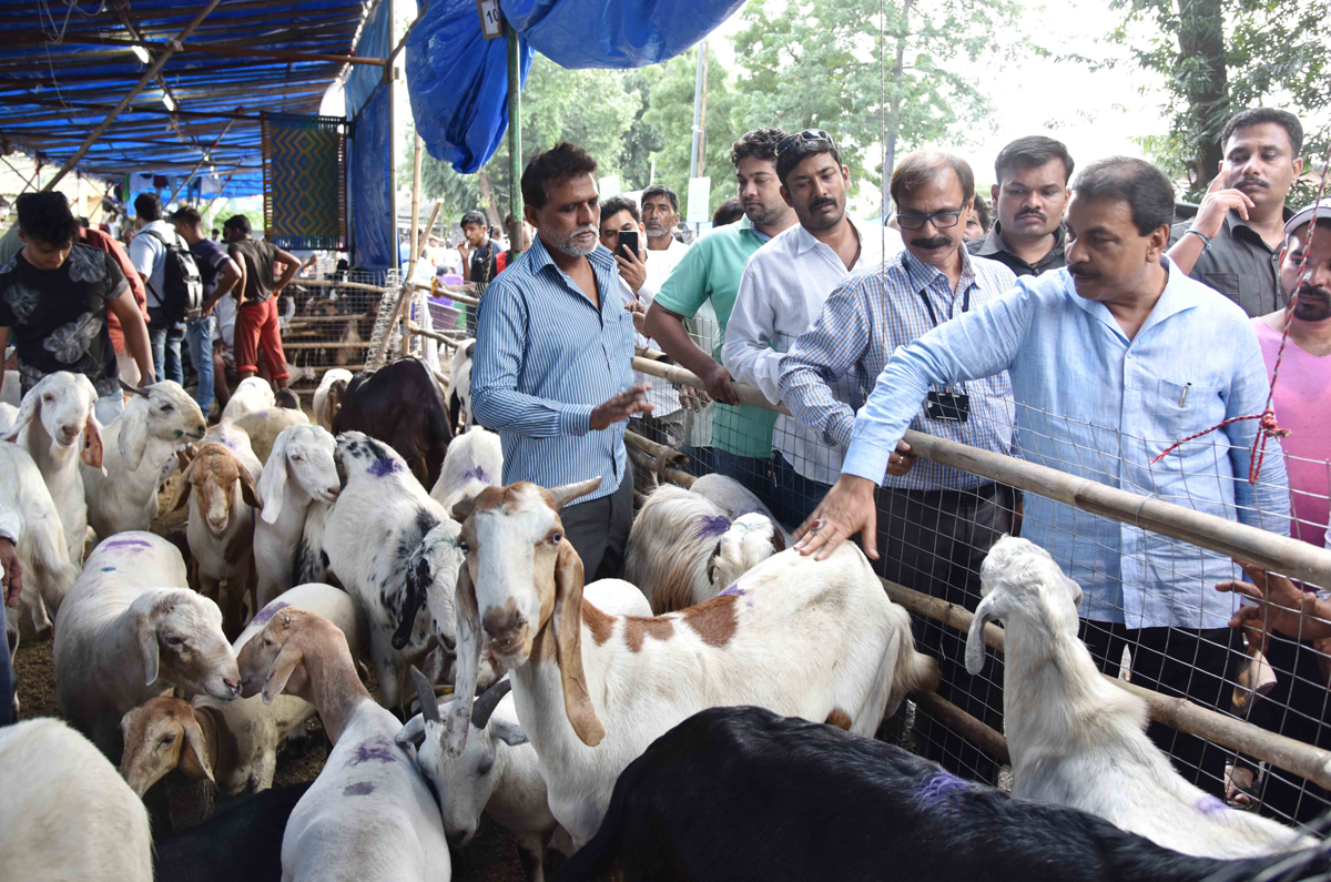 Ex Minister & MLA Mohd. Arif Nasim Khan visit Deonar Abattoir before Bakra Eid .