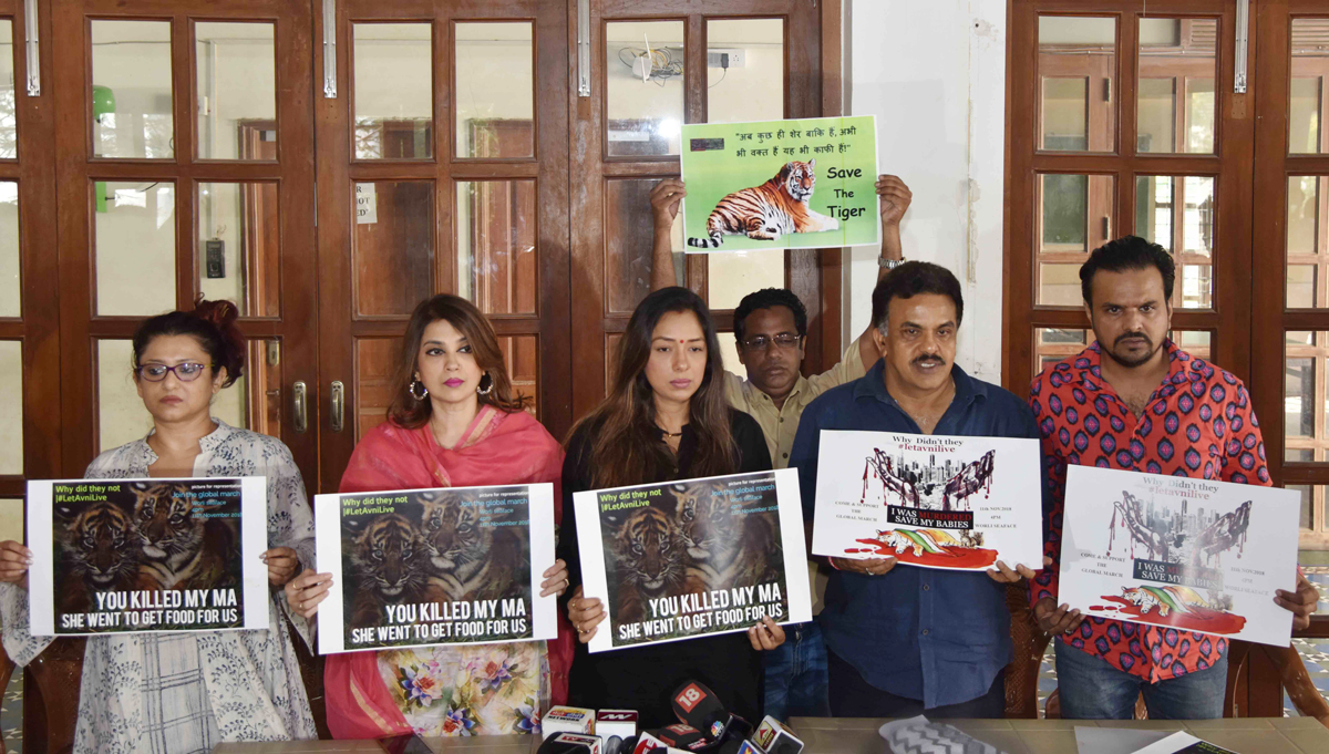 Press Conference of Mumbai Congress President Sanjay Nirupam with NGO's against Forest Minister Sudhir Mungantiwar @ Avani Tiger issue.