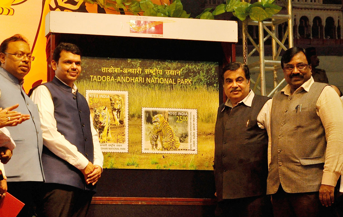 On the 6th anniversary of the "International Tigers Day".