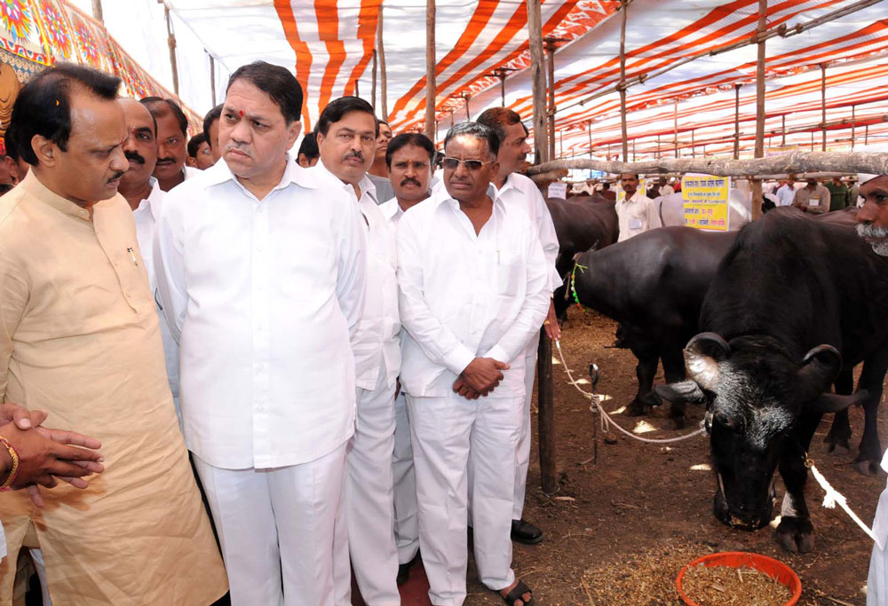 DY. CHIEF MINISTER AJITDADA PAWAR INAUGURATED EXPO 2010 EXHIBITION AT PUNE.