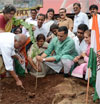 MUMBAI CONGRESS KRIPASHANKAR SINGH PLANTING TREE AT NEAR RAJIV GANDHI BHAVAN MUMBAI CST ON OCCASION OF WORLD ENVIRONMENT DAY.