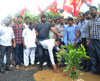 Tree Plantation in Potholes by MLA Nitesh Rane in Mumbai.i Tree Plantation in Potholes by MLA Nitesh Rane in Mumbai.i